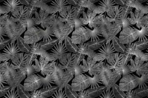PlateART Duschrückwand Exklusiv Blätter Dschungel schwarz silber