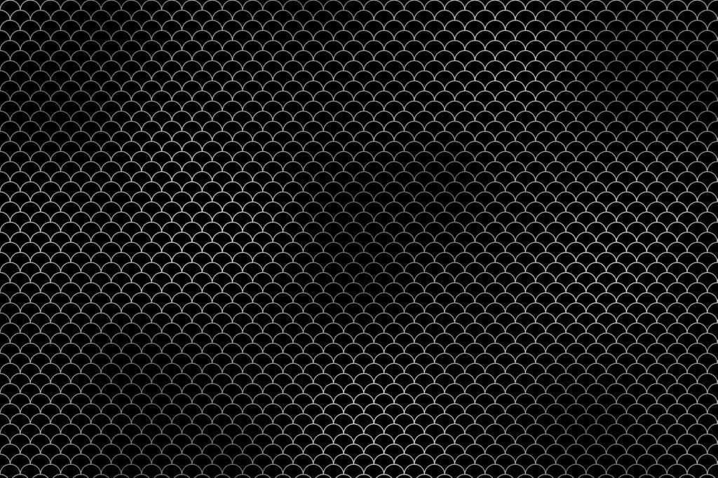 PlateART Duschrückwand Exklusiv Fischschuppen schwarz silber glänzend