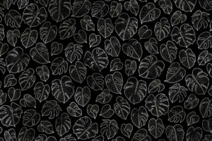 PlateART Duschrückwand Exklusiv Monstera Blätter schwarz silber glänzend