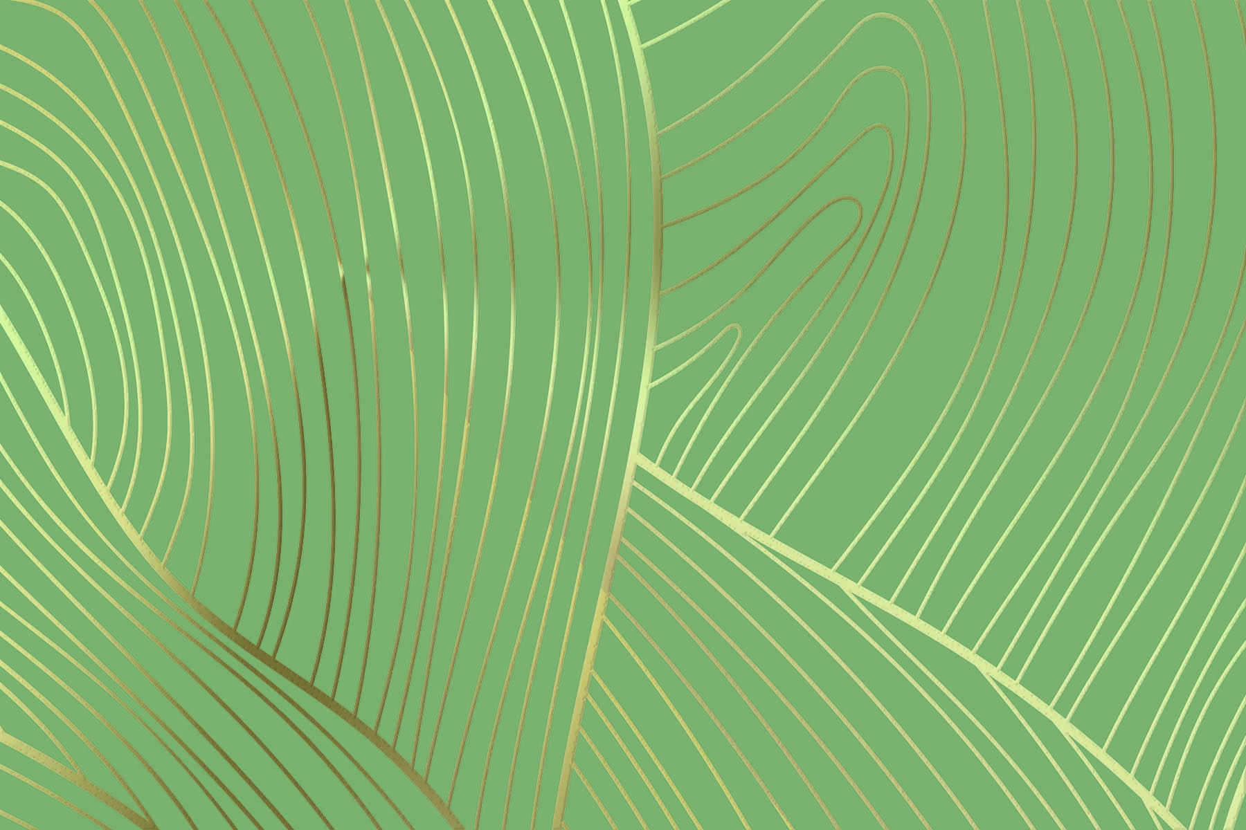 X-Panel Duschrückwand Küchenrückwand Wandverkleidung Exklusiv Goldeffekt grün modern