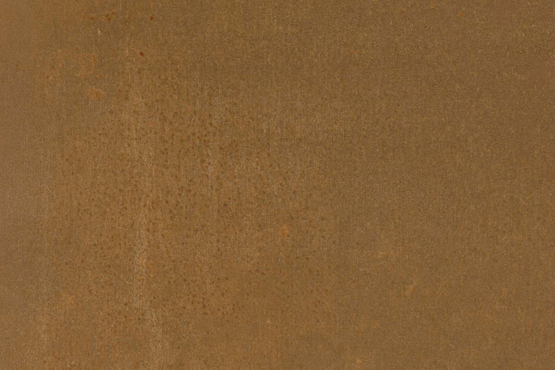 X-Panel Duschrückwand Küchenrückwand Wandverkleidung Rost Rostoptik