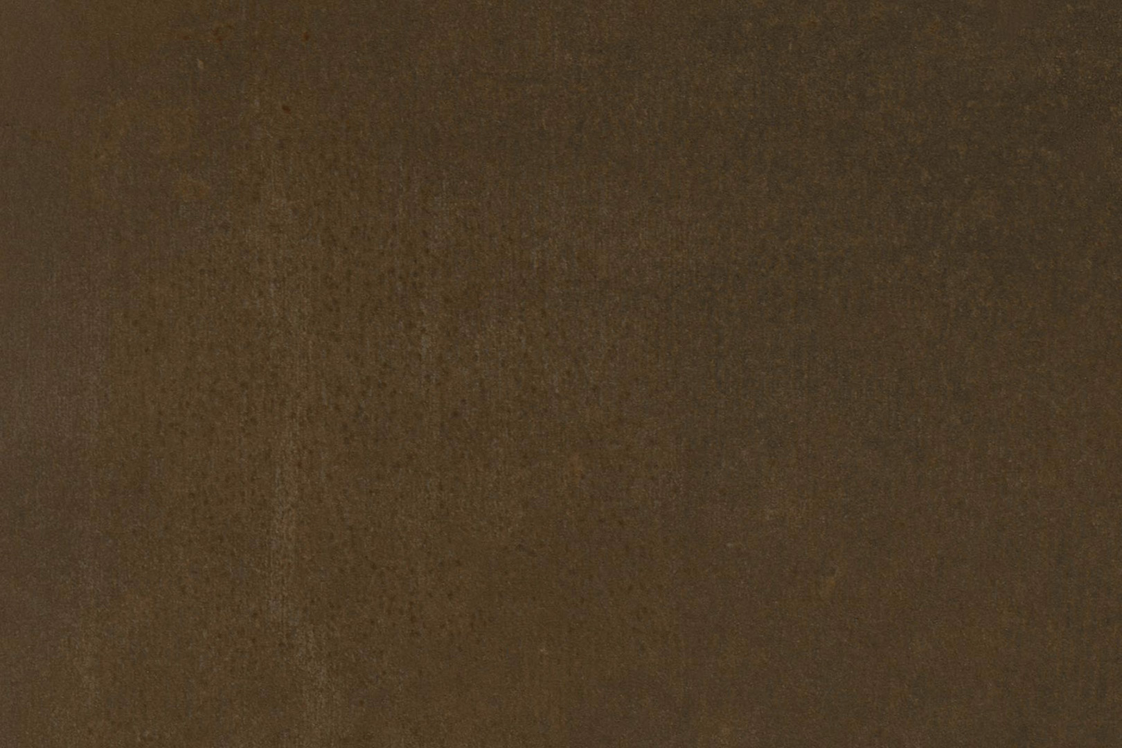 X-Panel Duschrückwand Küchenrückwand Wandverkleidung Rostoptik