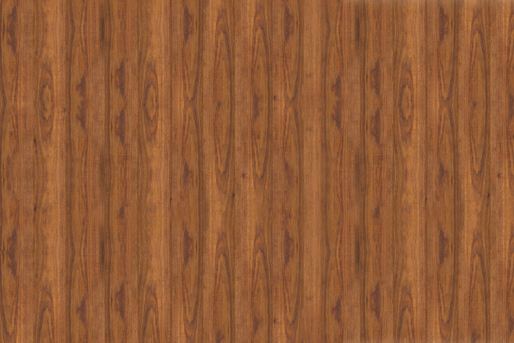 X-Panel Duschrückwand Küchenrückwand Wandverkleidung Holz warmes braun
