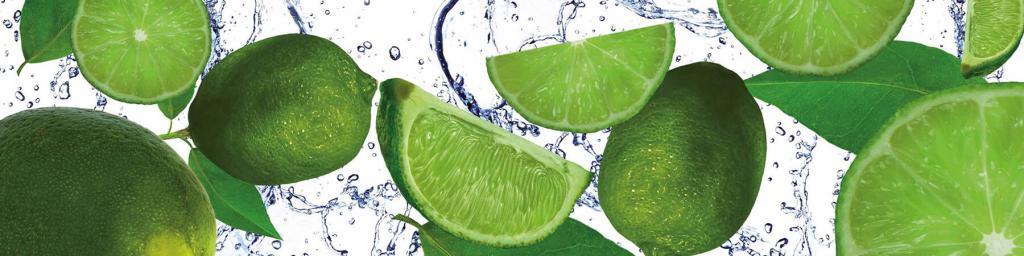 PlateART Küchenrückwand Limetten Wasser