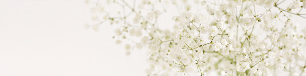 X-Panel Duschrückwand Küchenrückwand Wandverkleidung sanfte Blumen