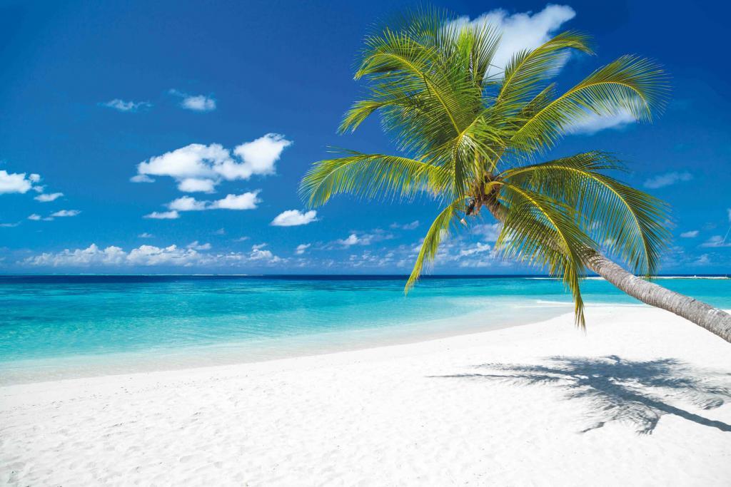 PlateART Wandbild, Duschrückwand