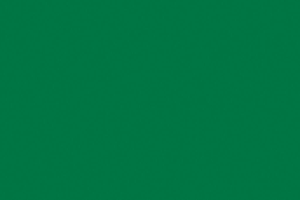 X-Panel Duschrückwand Küchenrückwand Wandverkleidung RAL 6024 Verkehrsgrün