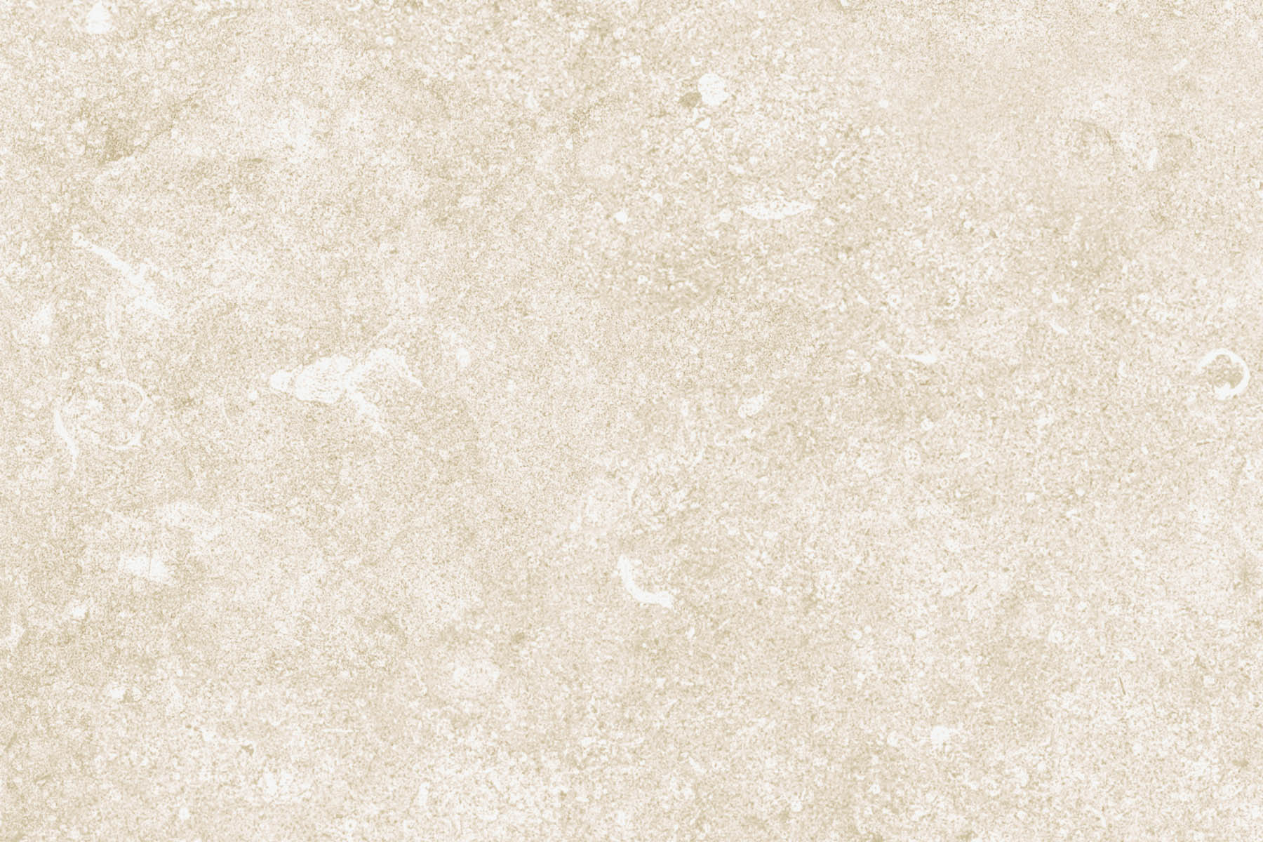 X-Panel Duschrückwand Küchenrückwand Wandverkleidung Granit beige