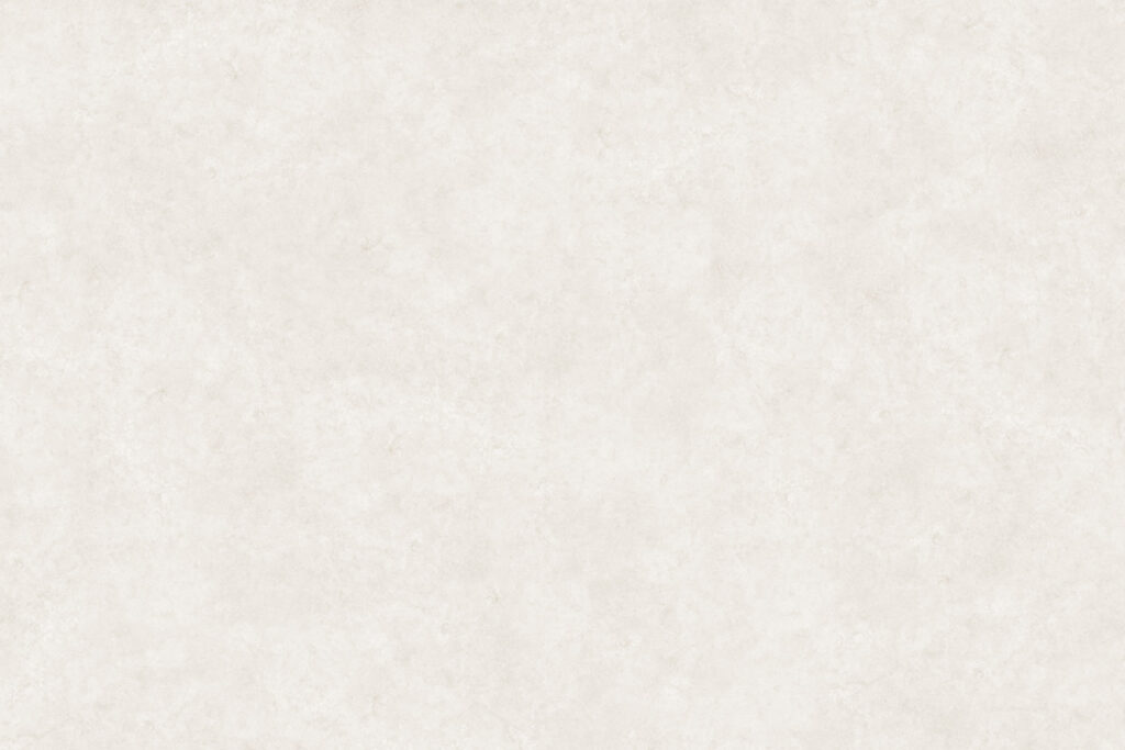 X-Panel Duschrückwand Küchenrückwand Wandverkleidung Stein hellbeige