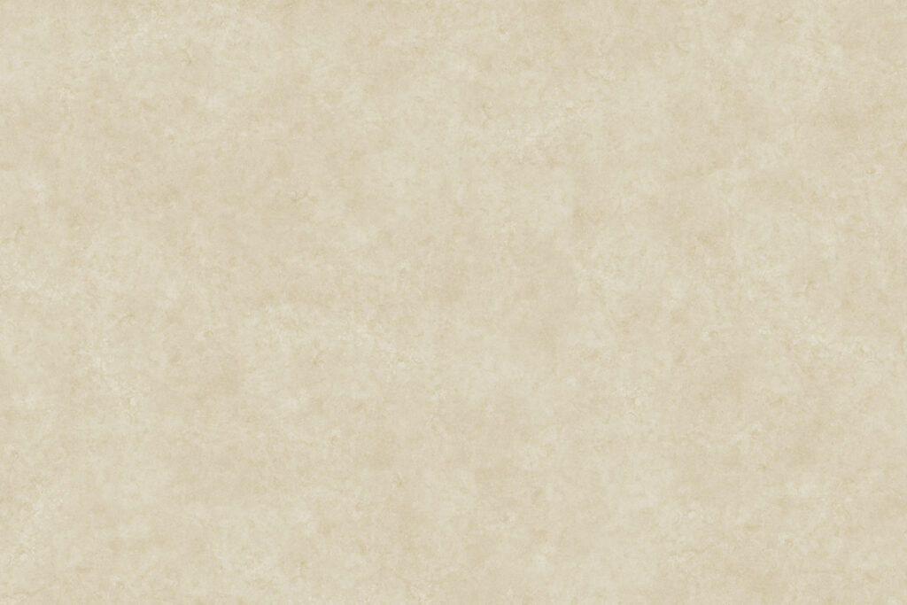 X-Panel Duschrückwand Küchenrückwand Wandverkleidung Stein beige