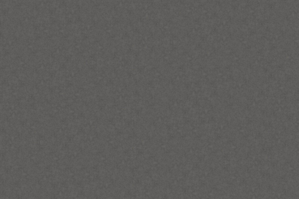 X-Panel Duschrckwand Küchenrückwand Wandverkleidung Stein dunkelgrau