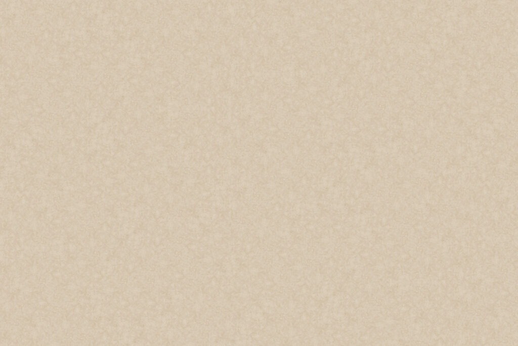 X-Panel Duschrückwand Küchenrückwand Wandverkleidung Stein beige