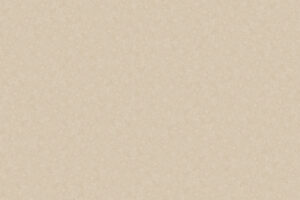 X-Panel Duschrückwand Küchenrückwand Wandverkleidung Stein beige