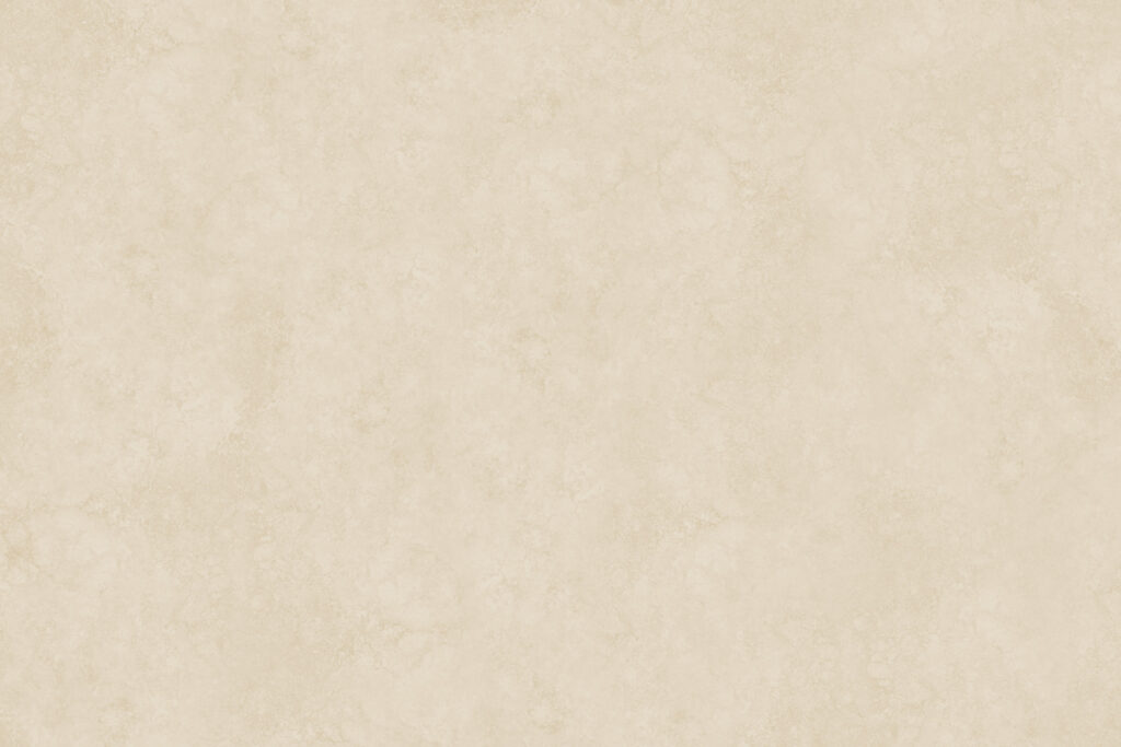 X-Panel Duschrückwand Küchenrückwand Wandverkleidung Stein beige