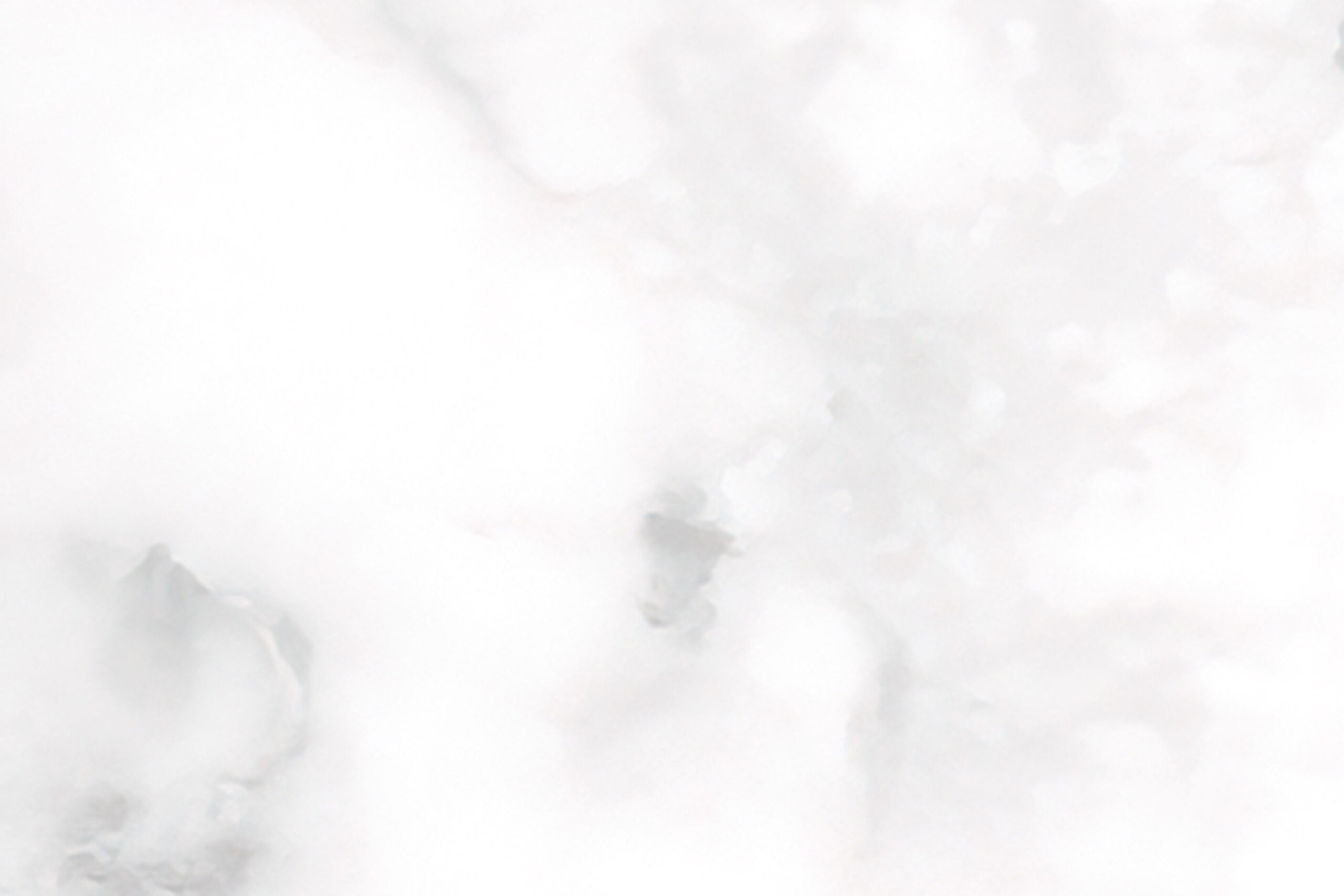 X-Panel Duschrückwand Küchenrückwand Wandverkleidung Marmor weiß grau