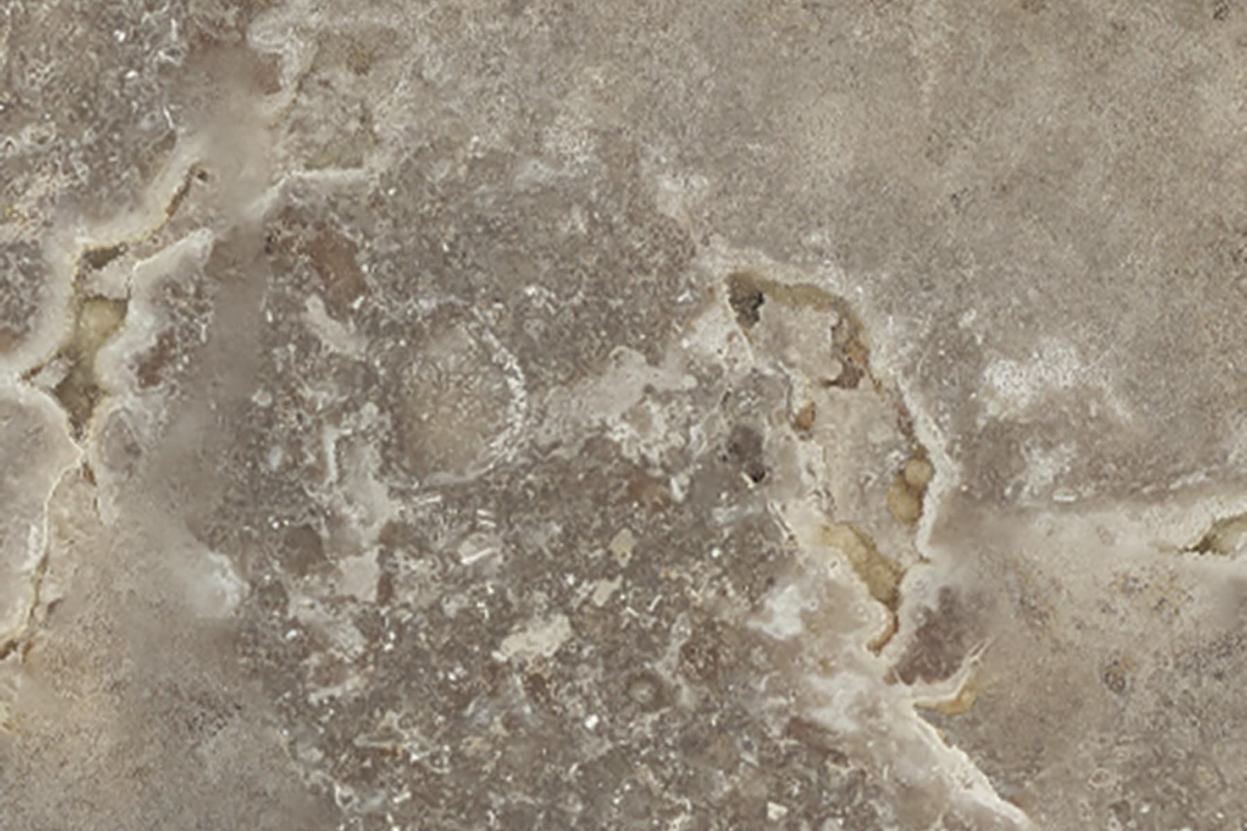 X-Panel Duschrückwand Küchenrückwand Wandverkleidung Marmor grob braun