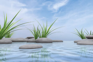 X-Panel Duschrückwand Küchenrückwand Wandverkleidung Wellness Zen Steine Gräser Wasser