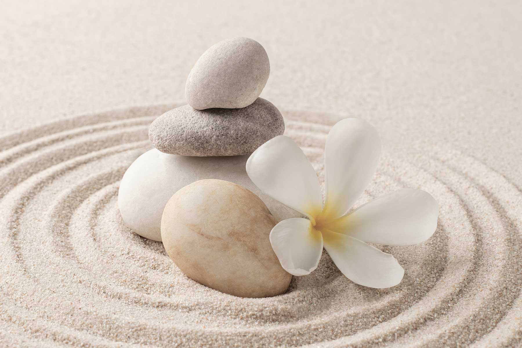 X-Panel Duschrückwand Küchenrückwand Wandverkleidung Wellness Zen Pflanze Blätter