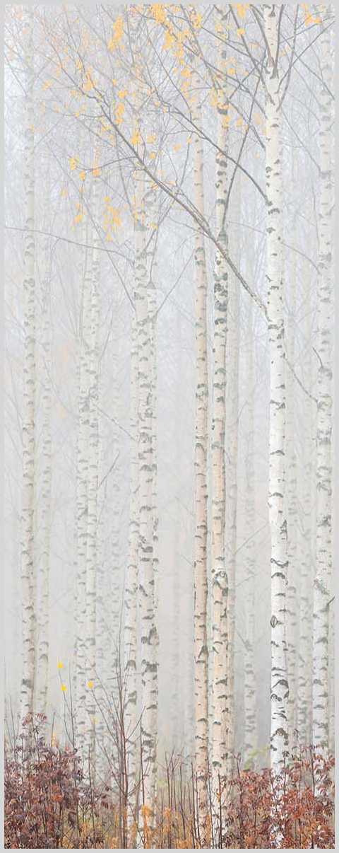 Konfigurator-Bild für ID 1008601