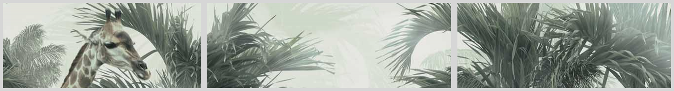 Konfigurator-Bild für ID 1008637