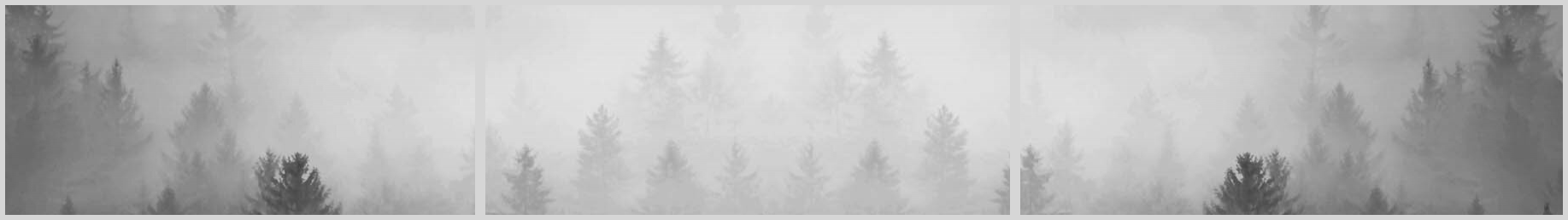 Konfigurator-Bild für ID 1009301