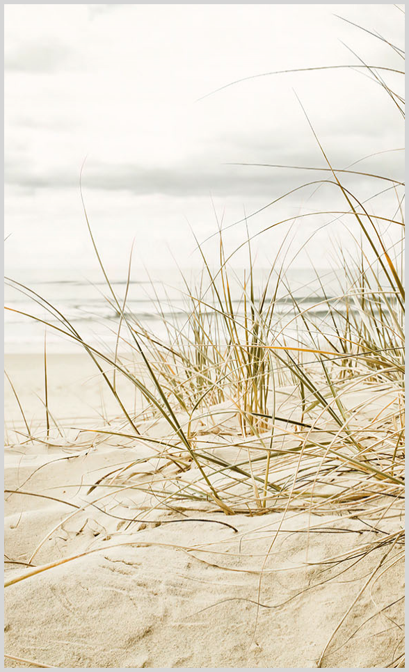 Konfigurator-Bild für ID 1135149 Custom