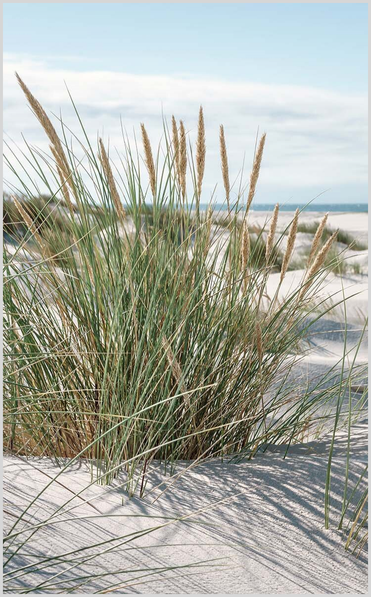 Konfigurator-Bild für ID 1135577 Custom