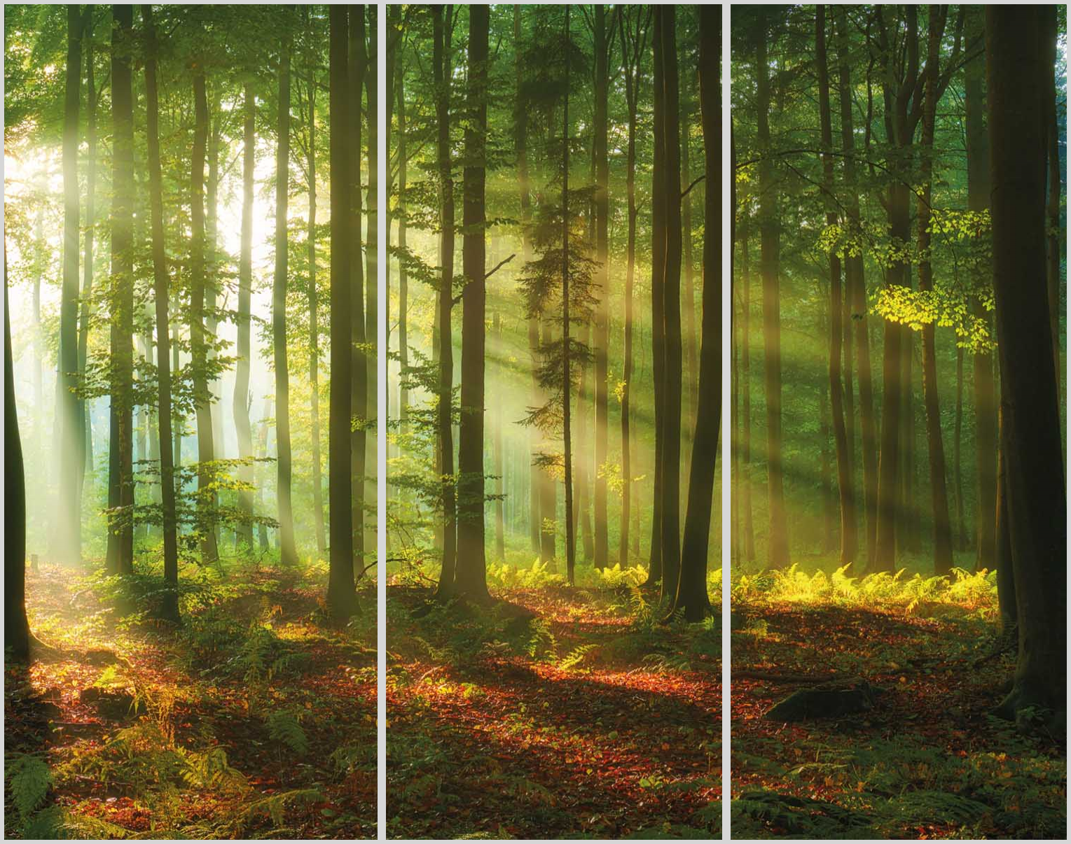 Konfigurator-Bild für ID 1135949 Custom