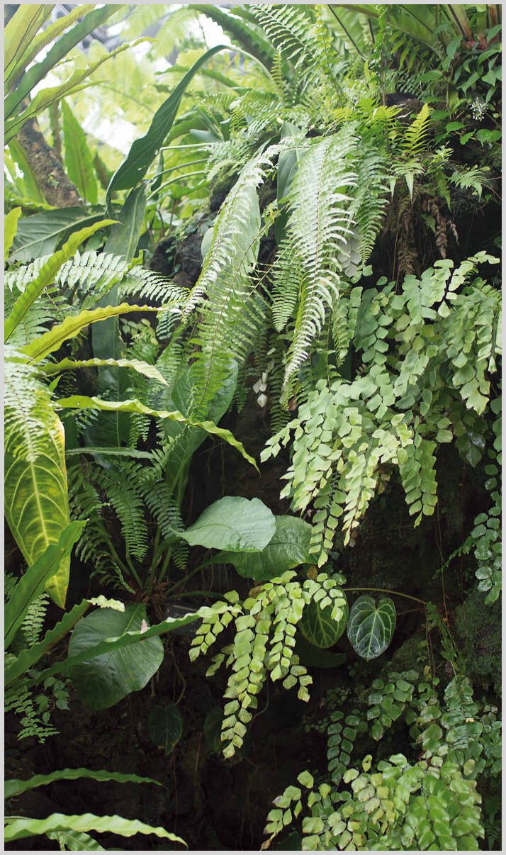 Konfigurator-Bild für ID 1140717 Custom