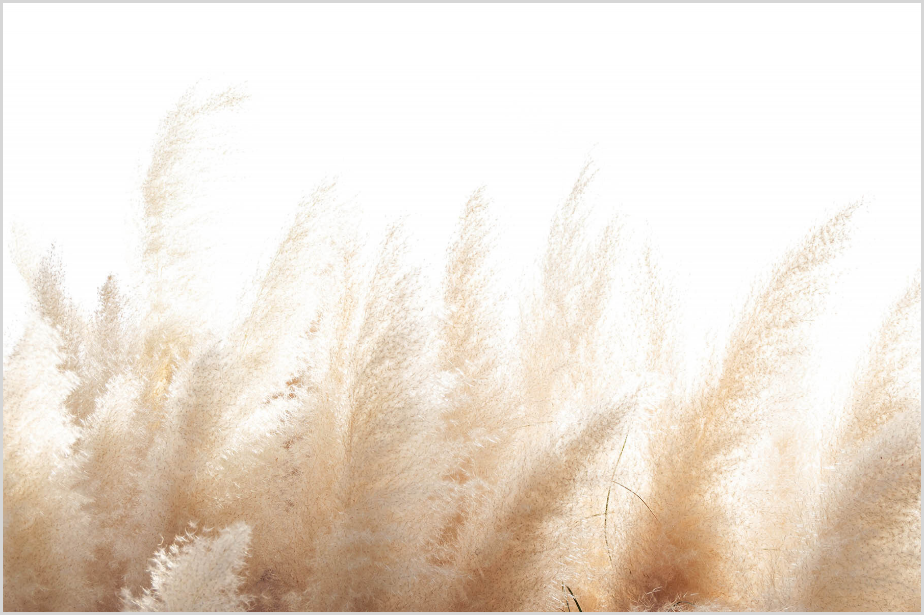 Konfigurator-Bild für ID 1148073 Custom