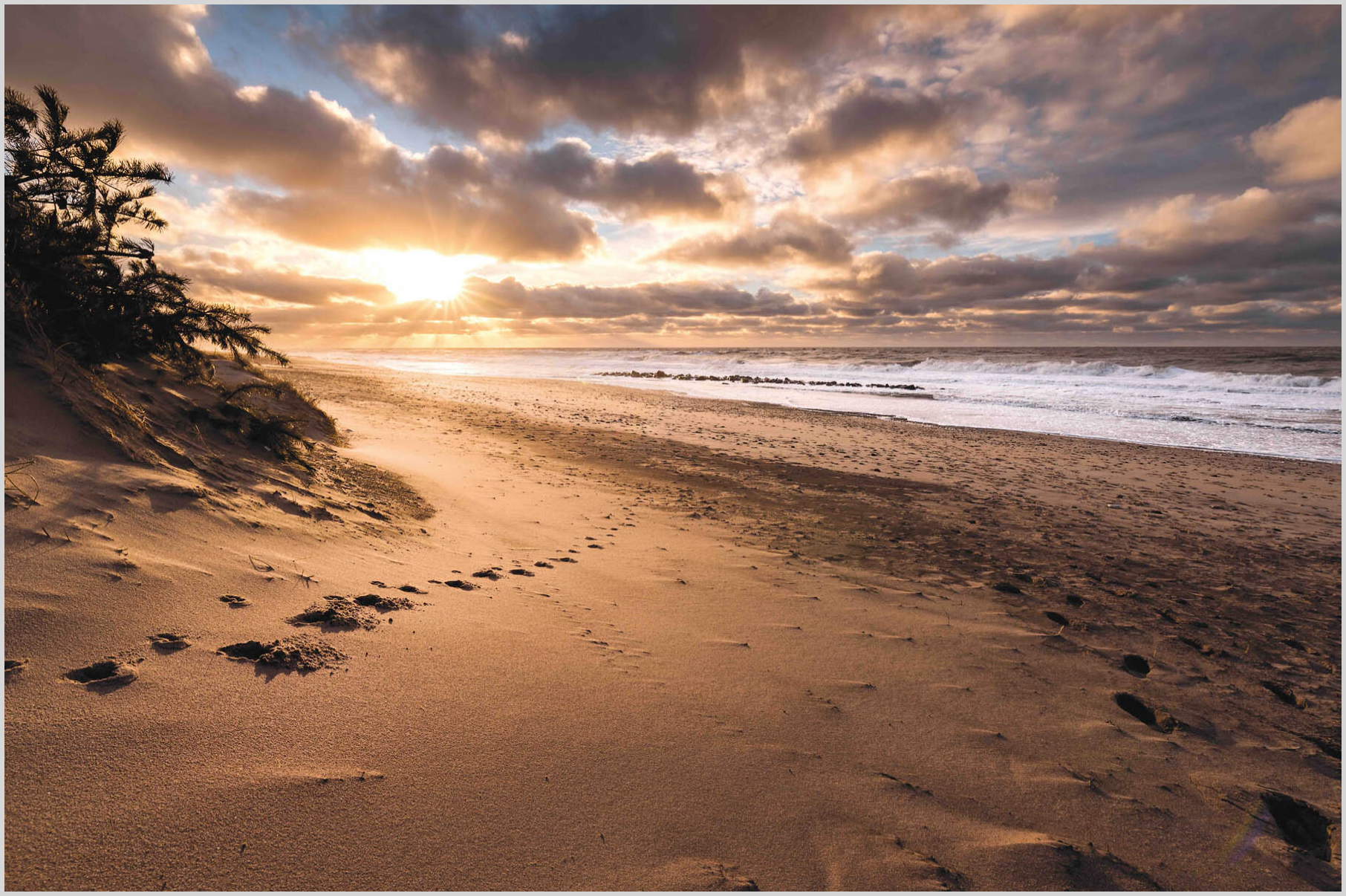 Konfigurator-Bild für ID 1160277 Custom