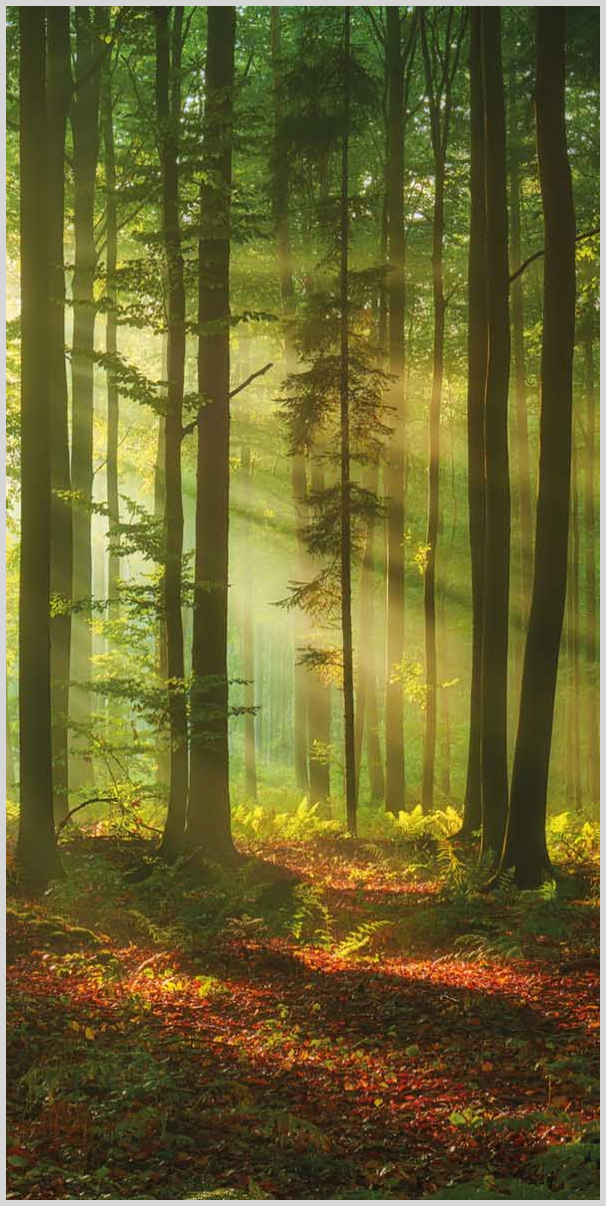 Konfigurator-Bild für ID 1166373 Custom