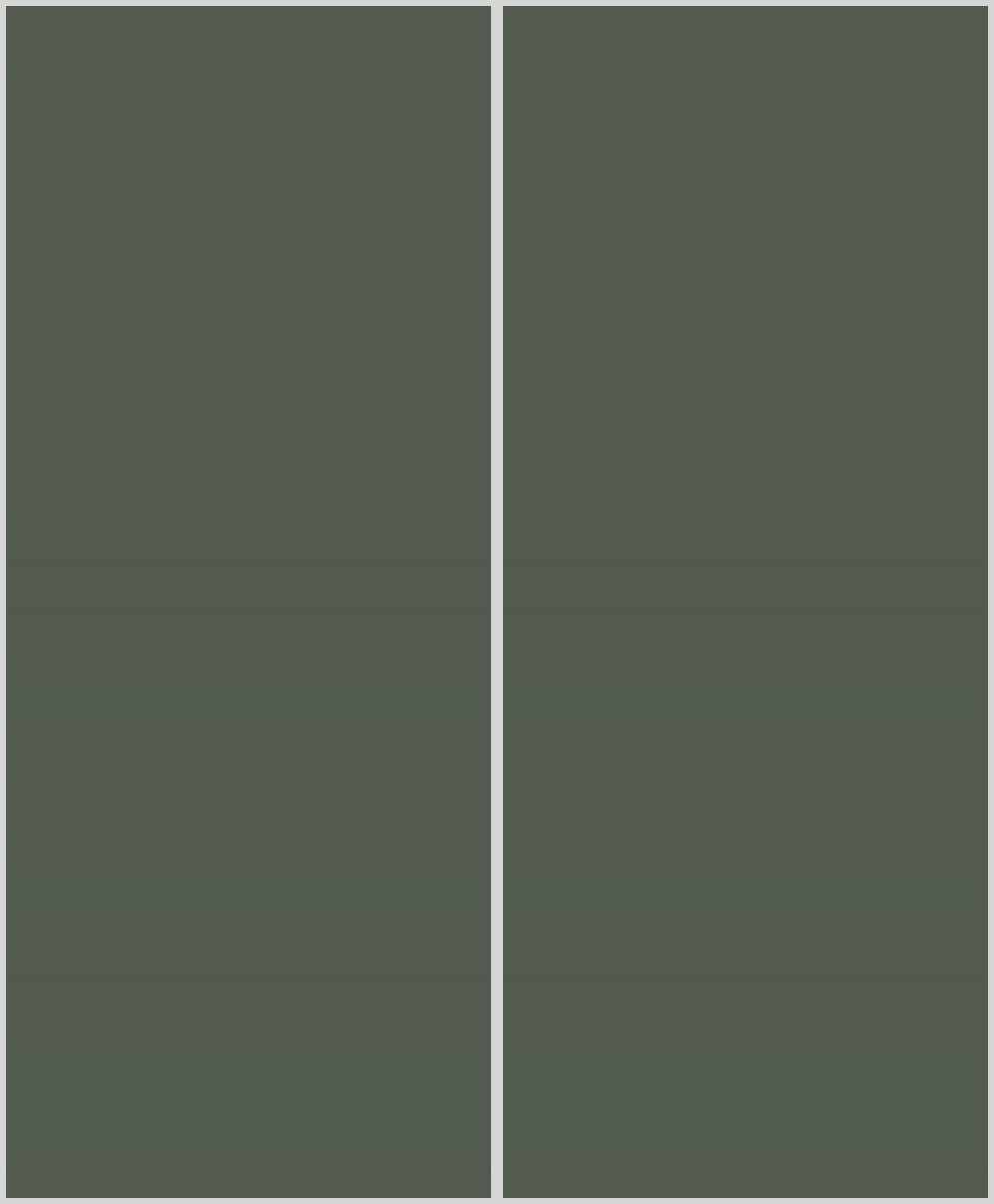 Konfigurator-Bild für ID 1171289 Custom