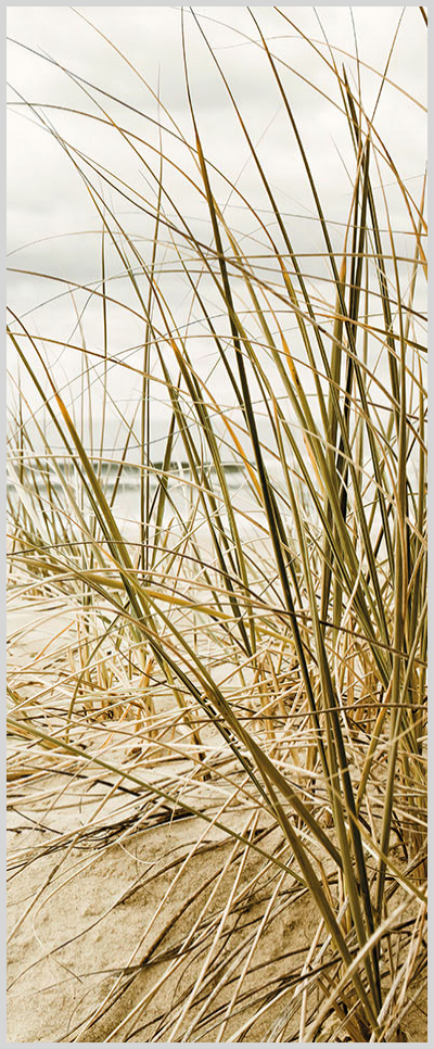 Konfigurator-Bild für ID 1189449 Custom