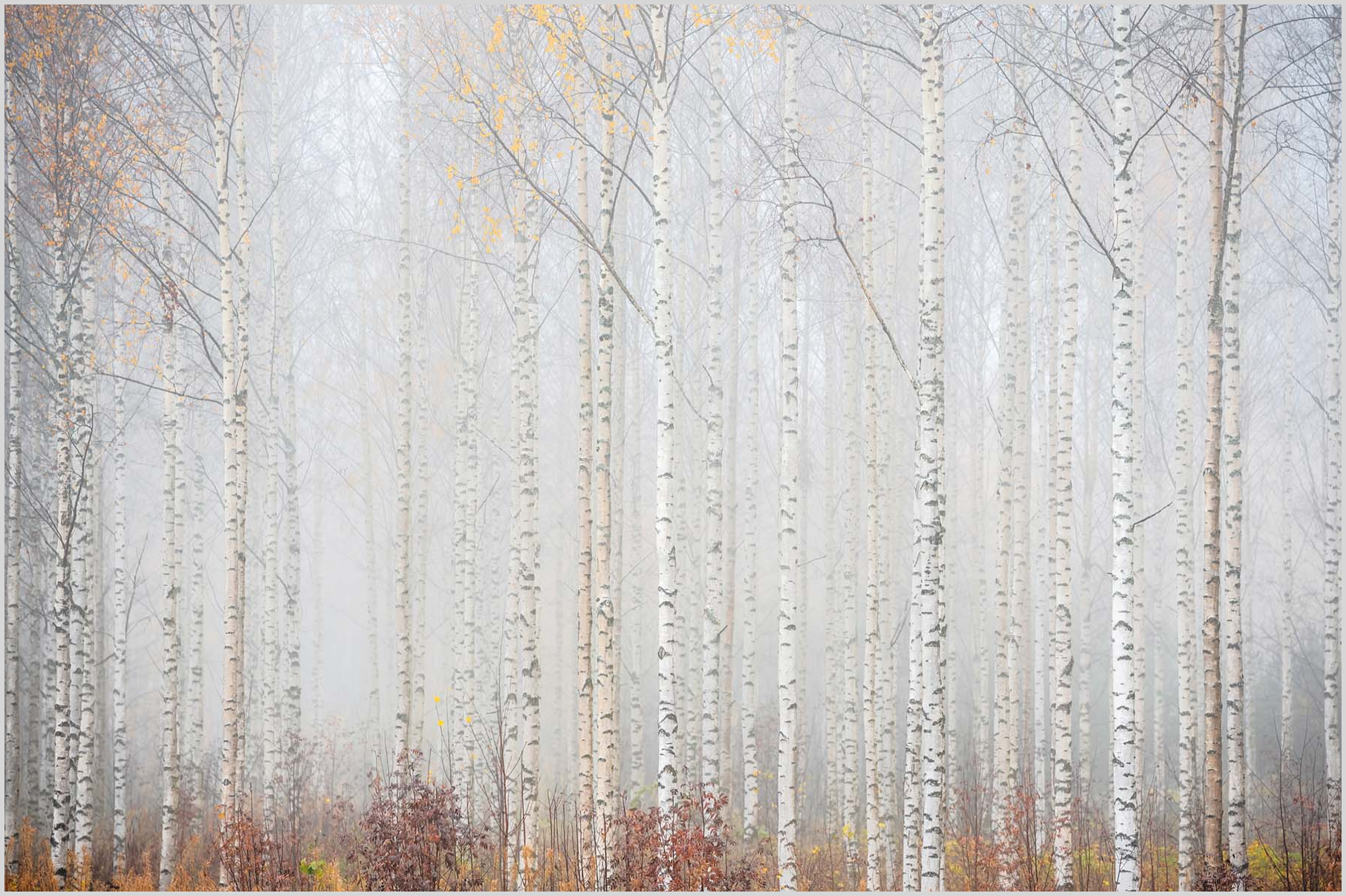 Konfigurator-Bild für ID 1197633 Custom