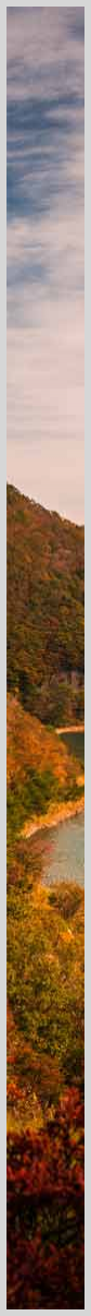 Konfigurator-Bild für ID 1207237 Custom