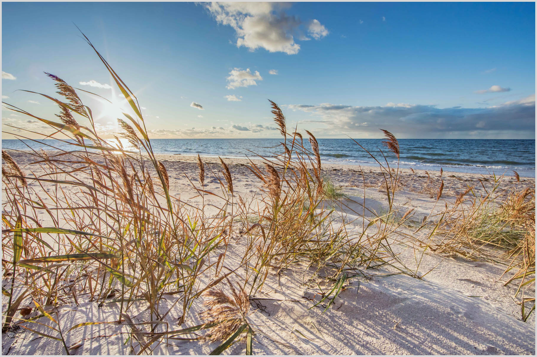 Konfigurator-Bild für ID 974981